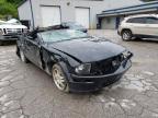 2005 FORD  MUSTANG