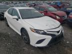 2019 TOYOTA  CAMRY