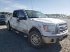 2010 FORD  F-150