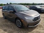 2021 HONDA  ODYSSEY