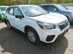 2019 SUBARU  FORESTER