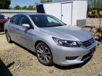 2013 HONDA  ACCORD