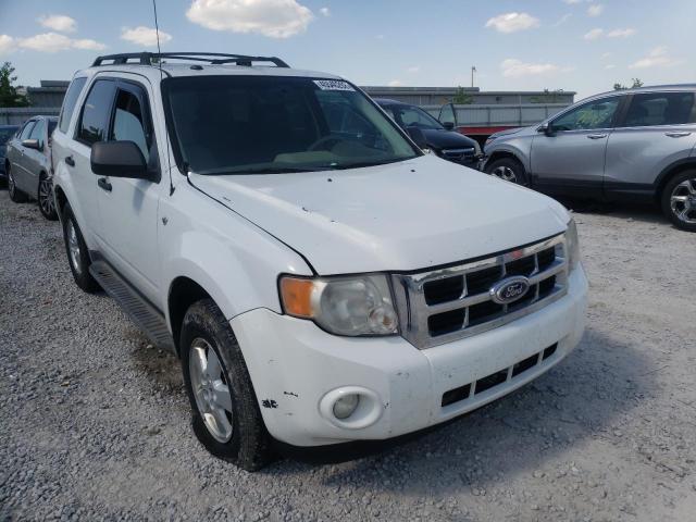 Salvage cars for sale from Copart Walton, KY: 2010 Ford Escape XLT