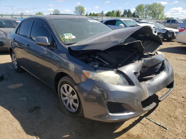 Toyota Corolla Ba