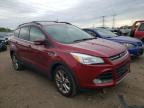 2013 FORD  ESCAPE