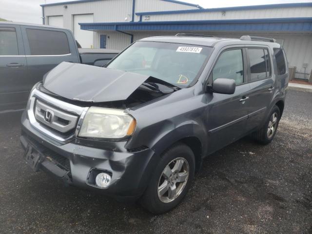 5FNYF4H59AB037947 Honda Pilot Exl 2010. Фото: 1