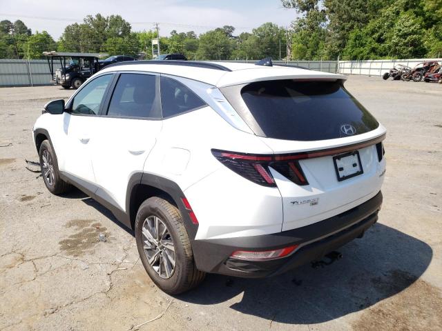 2022 HYUNDAI TUCSON BLU KM8JBCA16NU053255