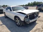 2014 DODGE  CHALLENGER