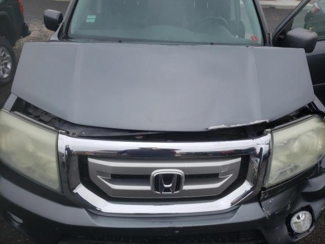 5FNYF4H59AB037947 Honda Pilot Exl 2010. Фото: 6