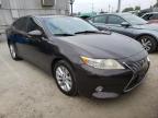 2013 LEXUS  ES300