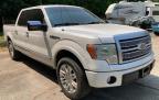 2010 FORD  F-150