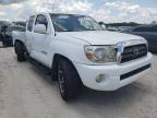 2005 TOYOTA  TACOMA