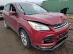 2013 FORD  ESCAPE