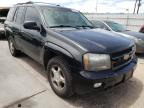 2009 CHEVROLET  TRAILBLZR