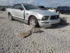 2007 FORD  MUSTANG