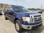 2010 FORD  F-150