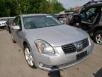 2004 NISSAN  MAXIMA