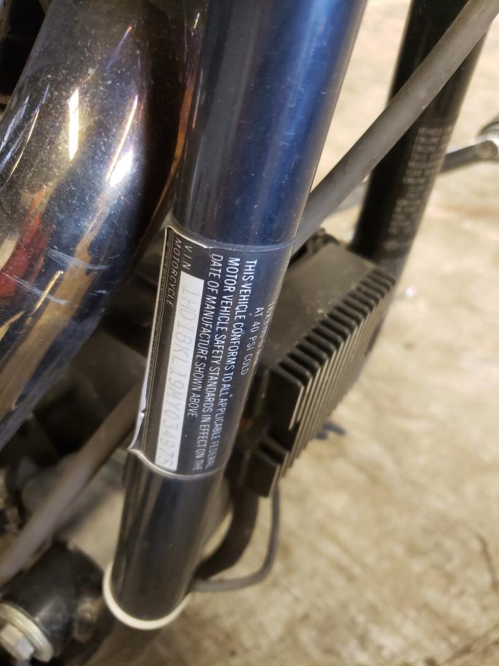 1991 Harley-Davidson Fxst Custom VIN: 1HD1BKL19MY034975 Lot: 46080422