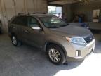 2014 KIA  SORENTO