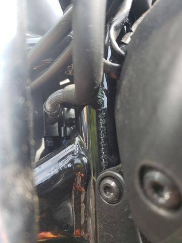 2021 HONDA CMX300 A MLHNC5353M5401906