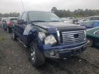 2010 FORD  F150