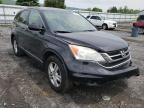 2010 HONDA  CRV