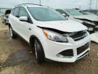 2014 FORD  ESCAPE