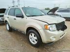 2010 FORD  ESCAPE