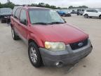 2007 FORD  ESCAPE