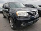 2013 HONDA  PILOT