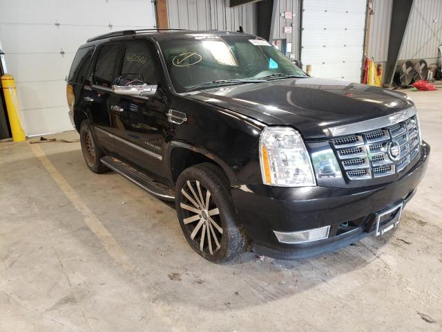 Salvage cars for sale from Copart West Mifflin, PA: 2011 Cadillac Escalade L