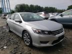 2013 HONDA  ACCORD