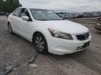 2009 HONDA  ACCORD