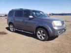 2013 HONDA  PILOT