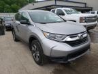 2019 HONDA  CRV