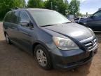HONDA ODYSSEY 2005 foto