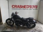 photo HARLEY-DAVIDSON XL883 N 2020