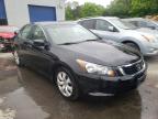 2010 HONDA  ACCORD