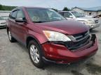 2011 HONDA  CRV