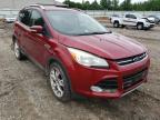 2014 FORD  ESCAPE