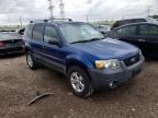 2007 FORD  ESCAPE