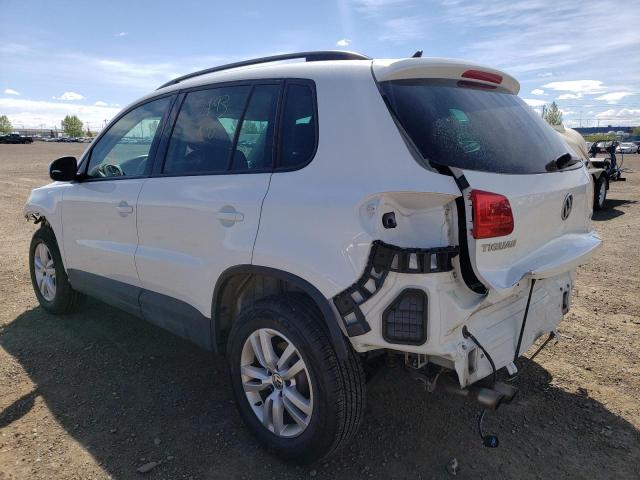 2017 VOLKSWAGEN TIGUAN TRE WVGHV7AX0HK006613