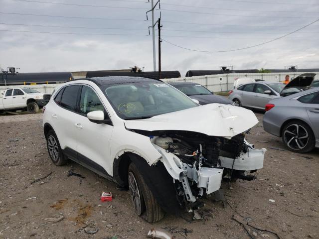 Salvage cars for sale from Copart Columbus, OH: 2021 Ford Escape SEL