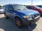 2007 FORD  ESCAPE