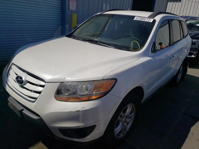 5NMSGDAB7AH371783 Hyundai Santa Fe G 2010. Фото: 1