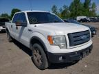 2009 FORD  F-150