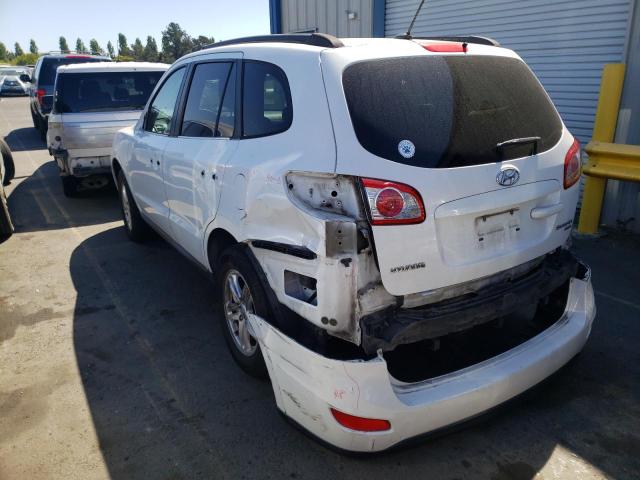 5NMSGDAB7AH371783 Hyundai Santa Fe G 2010. Фото: 2