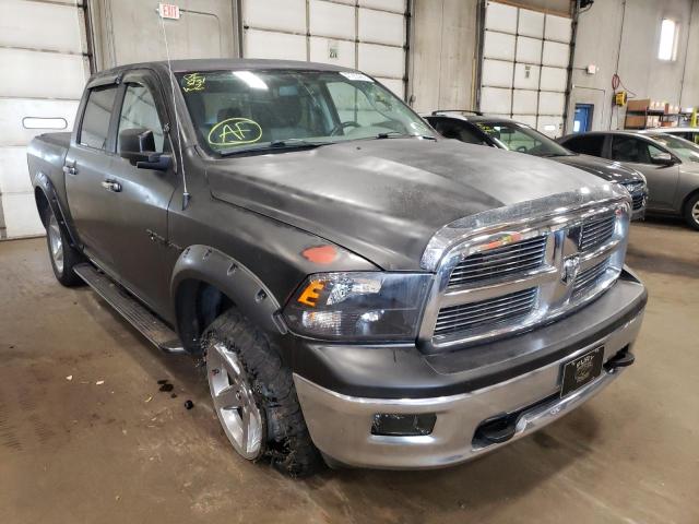 Salvage cars for sale from Copart Blaine, MN: 2009 Dodge RAM 1500