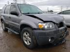 2007 FORD  ESCAPE