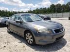 2010 HONDA  ACCORD